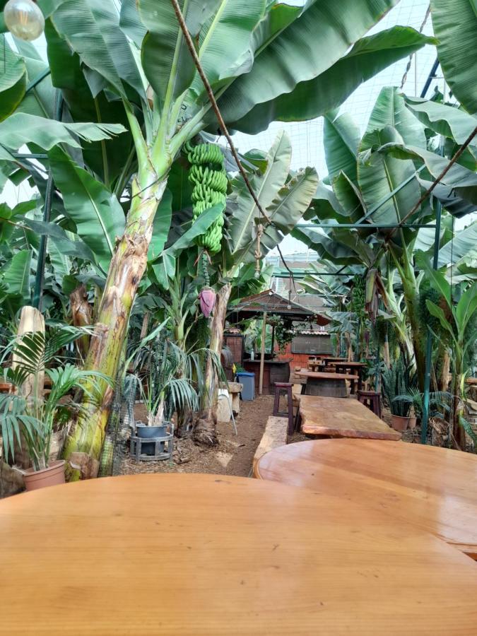 Tenerife Privatunterkunft San Miguel de Abona