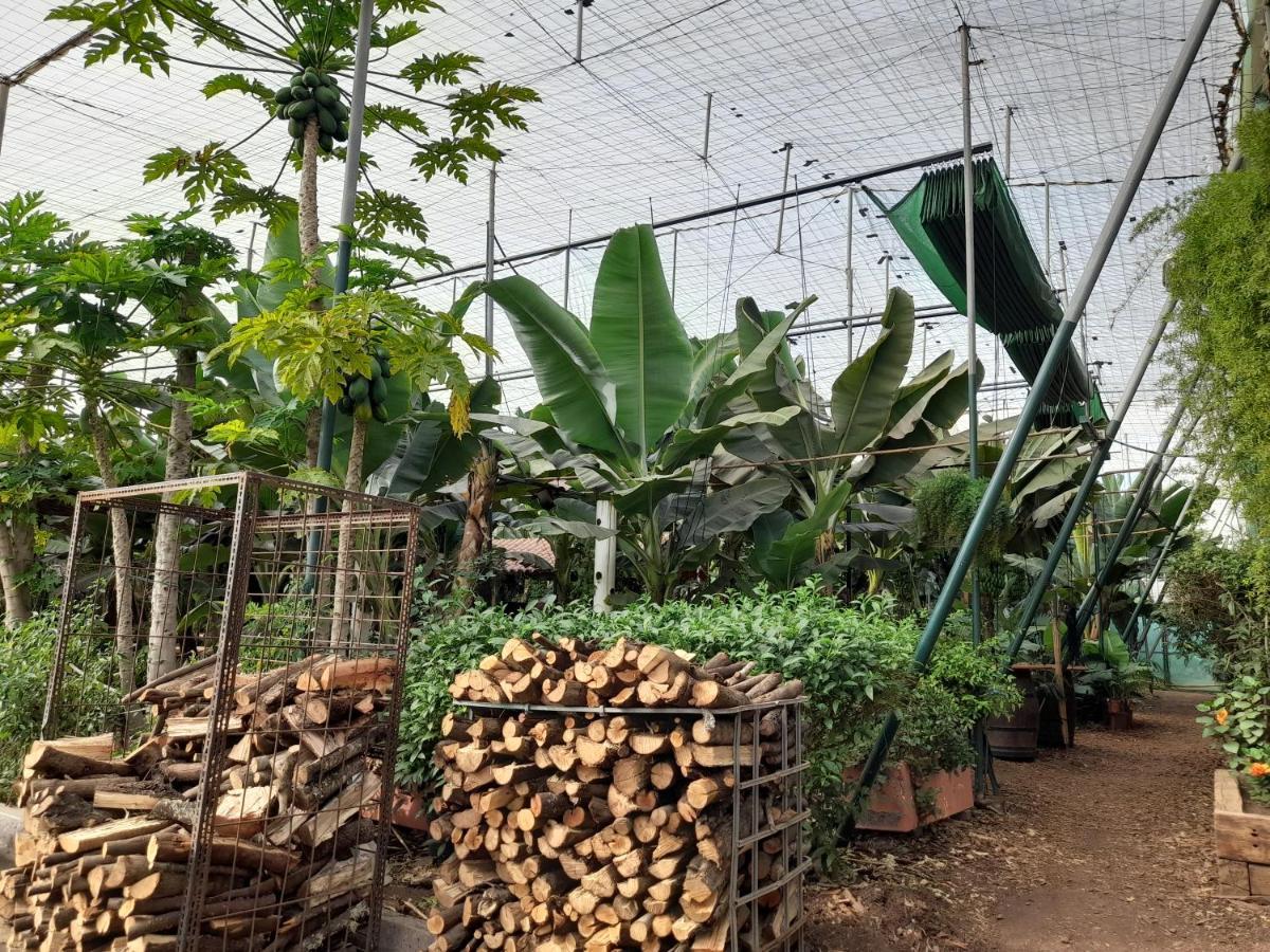 Privatunterkunft Tenerife San Miguel de Abona