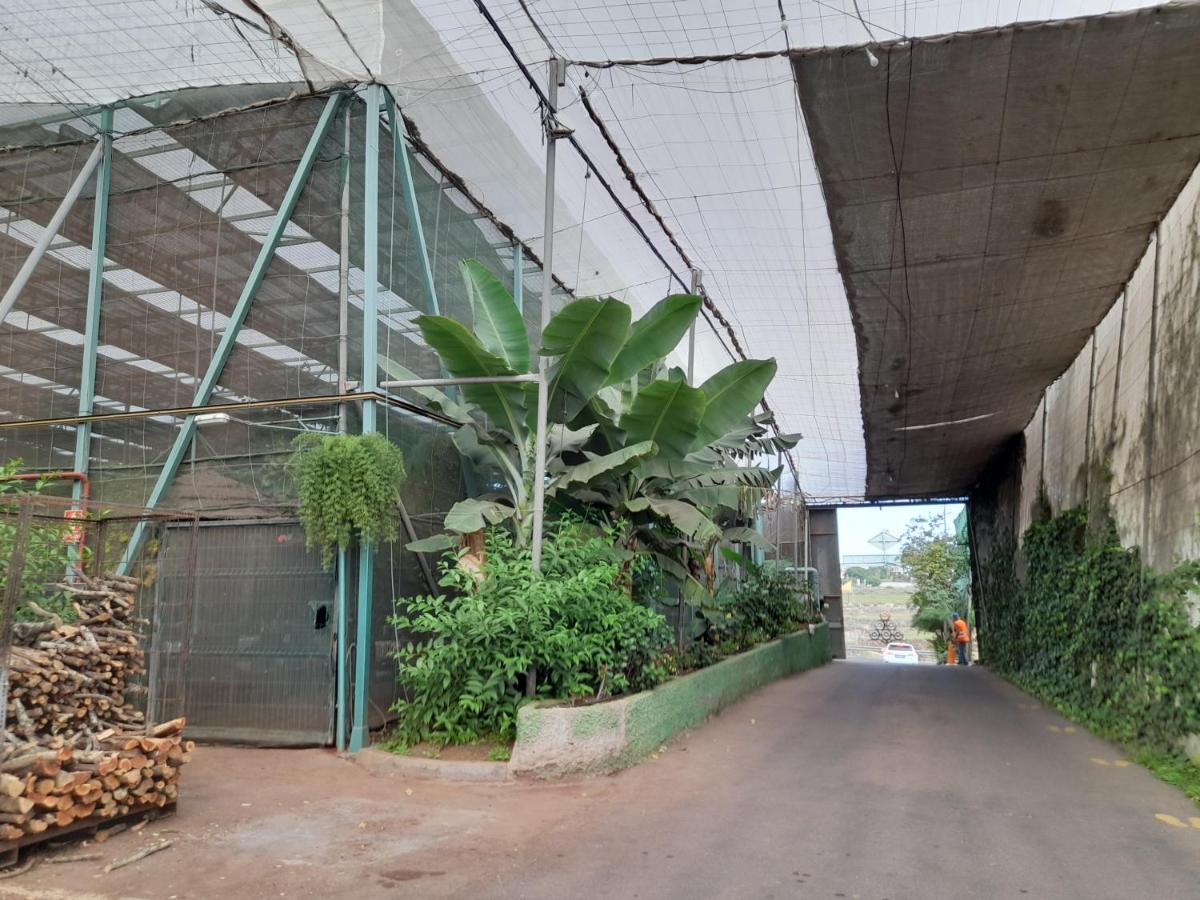Tenerife Privatunterkunft San Miguel de Abona