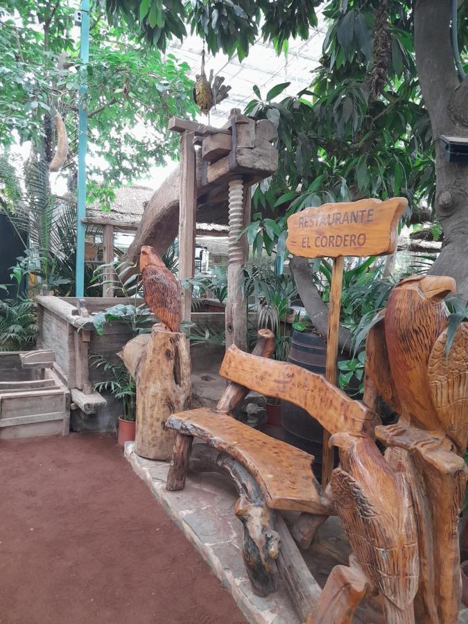 Privatunterkunft Tenerife